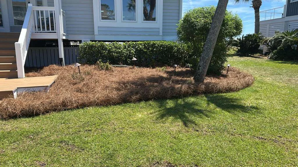 landscaping 2 standard